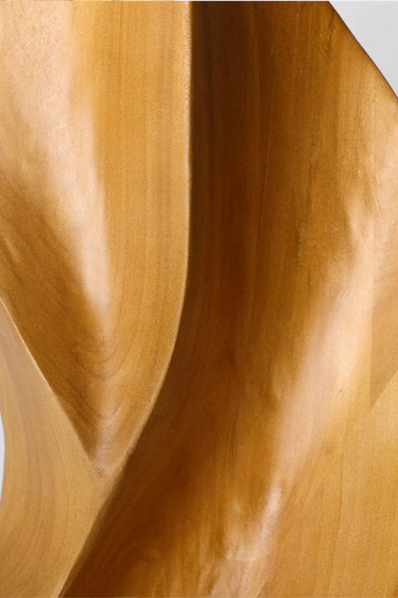 Organic Abstract Wooden Sculpture #AWS 016