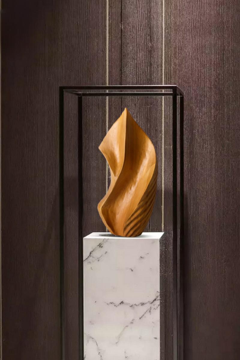 Organic Abstract Wooden Sculpture #AWS 016
