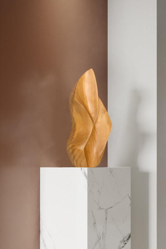 Organic Abstract Wooden Sculpture #AWS 016